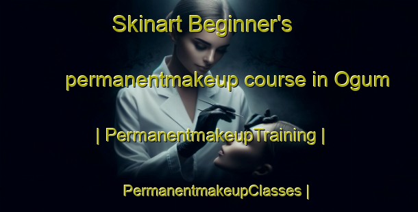 Skinart Beginner's permanentmakeup course in Ogum | PermanentmakeupTraining | PermanentmakeupClasses | SkinartTraining-Republic of Korea